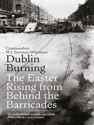 cover image of Dublin Burning